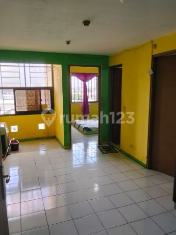 Rent Palm Mansion Apartment Cheap