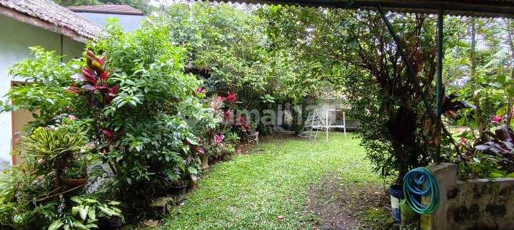 Tanah Luas 1.110M² di Dago, Dekat Itb & Rs Borromeus