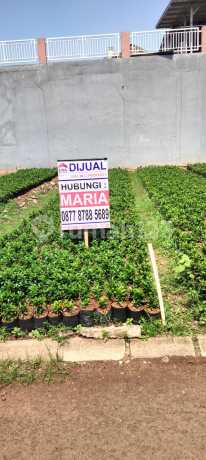 Kavling Hoek Siap Bangun di Metro Permata 1 Tangerang Kavling Hoek Siap Bangun di Metro Permata 1 Tangerang