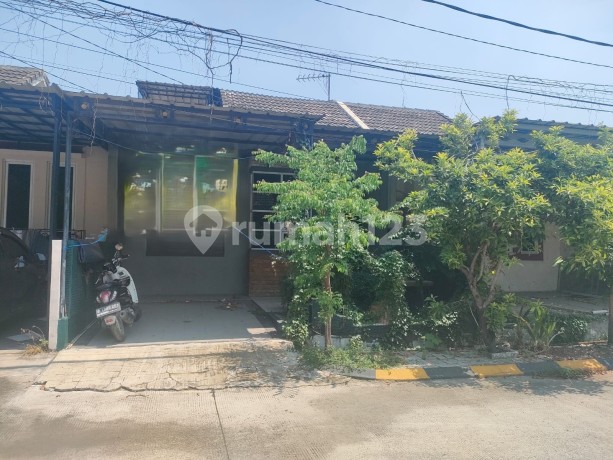 Rumah Dijual Cepat di Libersa Mansion Cluster Asoka Tambun Bekasi Rumah Dijual Cepat di Libersa Mansion Cluster Asoka Tambun Bekasi