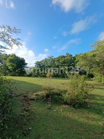 Dijual Lahan Bukit Jimbaran