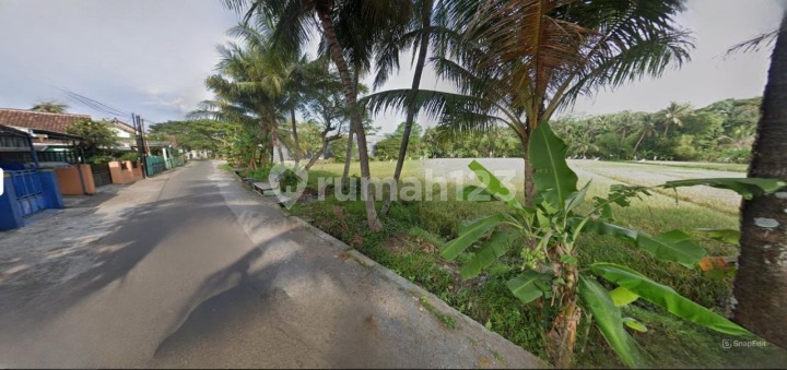 Tanah 10m Depan, Akses Papasan, Dekat Jalan Rajawali & Kampus UMY!