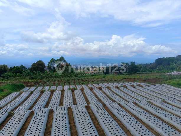 Tanah di Sariwangi Atas Dekat Sariwangi Highland , Cocok untuk Investasi View Indah Tanah di Sariwangi Atas Dekat Sariwangi Highland , Cocok untuk Investasi View Indah