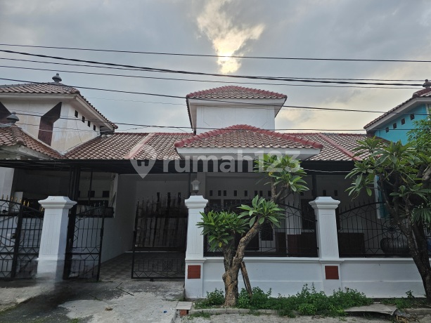 Rumah Disewakan Cepat Siap Huni Baru.renovasi Deket Jalan Raya Rumah Disewakan Cepat Siap Huni Baru.renovasi Deket Jalan Raya