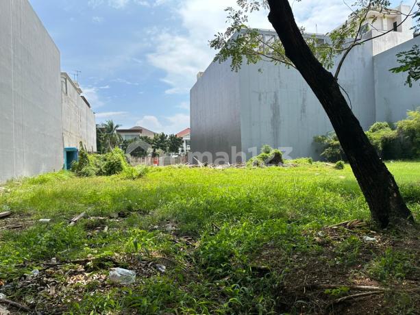 Kavling Pik Uk 22X38 Luas 836 M2 Pantai Indah Kapuk, Bagus Limited Unit Jarang Ada! Kavling Pik Uk 22X38 Luas 836 M2 Pantai Indah Kapuk, Bagus Limited Unit Jarang Ada!