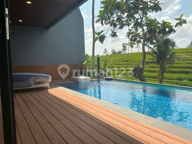 Best Ricefields View Villa Canggu With Infinity Pool