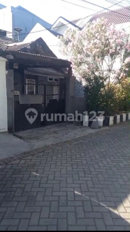 Wiguna Timur Siap Huni Bisa Untuk Usaha Wiguna Timur Siap Huni Bisa Untuk Usaha