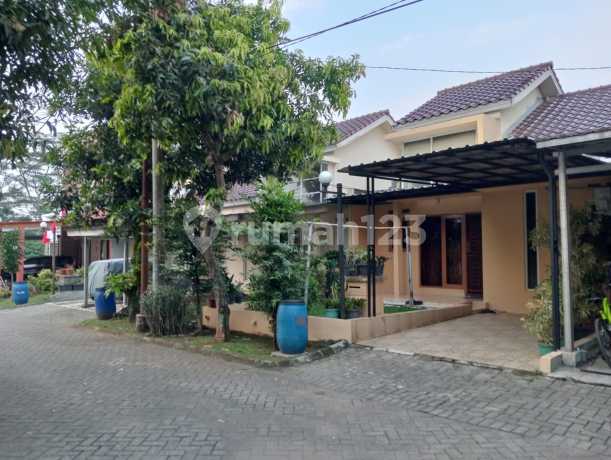 Rumah dijual 1 lantai siap huni Pakuan Regency Dramaga Bogor Rumah dijual 1 lantai siap huni Pakuan Regency Dramaga Bogor