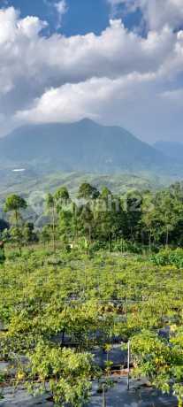 Dijual Tanah Luas Cocok Untuk Perkebunan Area Majalaya Paseh
