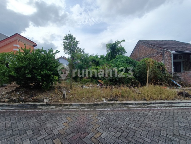 Kavling Lokasi Strategis Perum Kini Jaya Kedungmundu Tembalang Kavling Lokasi Strategis Perum Kini Jaya Kedungmundu Tembalang