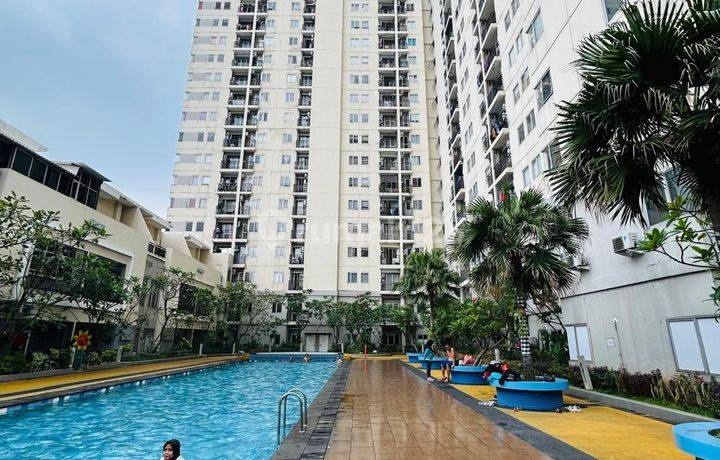 Apartment 1 BR Bagus Furnished MAPLE PARK, SUNTER 