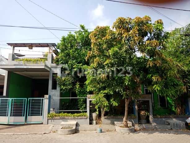 Rumah Bogorami Indah Regency Dekat Kenjeran Surabaya Timur Siap Huni Rumah Bogorami Indah Regency Dekat Kenjeran Surabaya Timur Siap Huni
