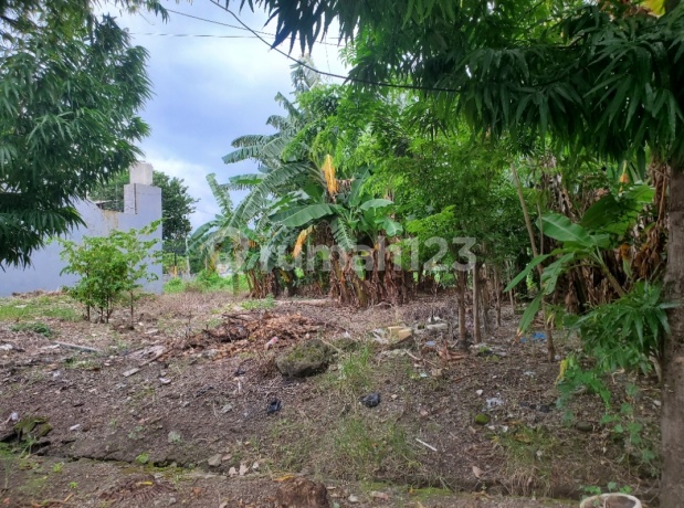 SELL STRATEGIC LAND IN GKB GRESIK JAVA, A STEP AWAY FROM UNIVERSITY & PUBLIC FACILITIES