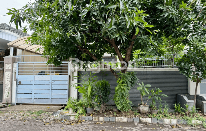 RUMAH HANYA 1 M AN DI JALAN BESAR PERMATA SAFIRA