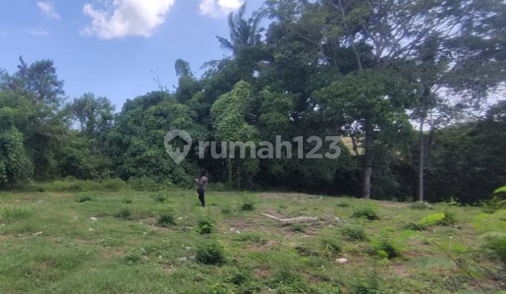 Tanah Kavling 11 Are Greenlot Residence Munggu Mengwi Badung Tanah Kavling 11 Are Greenlot Residence Munggu Mengwi Badung