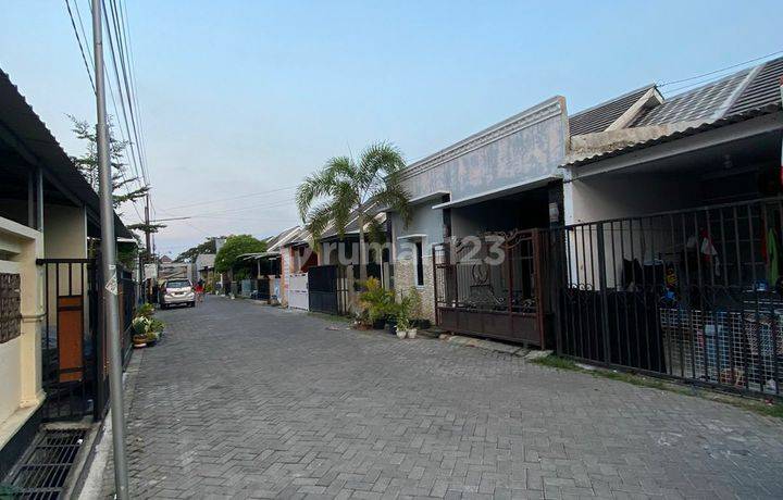 Jual Murah Rumah di Perum Graha Sigi Permai Pedurungan