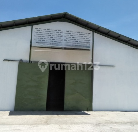 Gudang Tambak Langon. Bagus Bebas Banjir. Lokasi Strategis Dekat Pintu Tol Tandes, Romokalisari. Murah Nego Gudang Tambak Langon. Bagus Bebas Banjir. Lokasi Strategis Dekat Pintu Tol Tandes, Romokalisari. Murah Nego