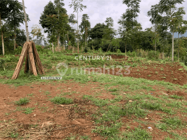 Wide Land with Beautiful Plantation Environment in Arjasari, Bandung Wide Land with Beautiful Plantation Environment in Arjasari, Bandung