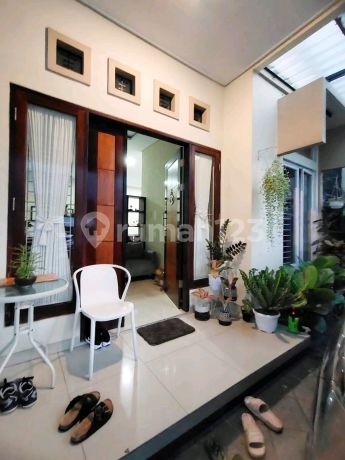 ******** Sunter Mas ******** Sunter Mas