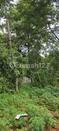 For Sale / Dijual Tanah Cocok Jadi Komplek Perumahan di Jalan Elang Cluster Duta Kranggan Bekasi Luas Tanah 8407M2 SHM For Sale / Dijual Tanah Cocok Jadi Komplek Perumahan di Jalan Elang Cluster Duta Kranggan Bekasi Luas Tanah 8407M2 SHM