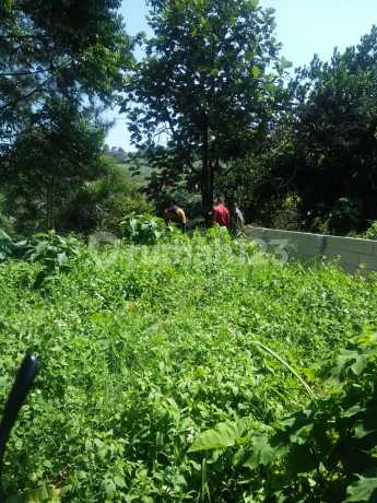 Jual Tanah Murah Siap Bangun di Dago Giri Bandung Jual Tanah Murah Siap Bangun di Dago Giri Bandung