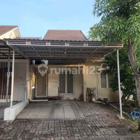 Dijual Rumah Terawat Palma Classica Citraland, Surabaya Barat Dijual Rumah Terawat Palma Classica Citraland, Surabaya Barat