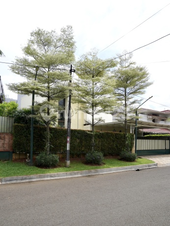 Jual Cepat Rumah Bagus 534M2 di Bukit Hijau Pondok Indah Jual Cepat Rumah Bagus 534M2 di Bukit Hijau Pondok Indah