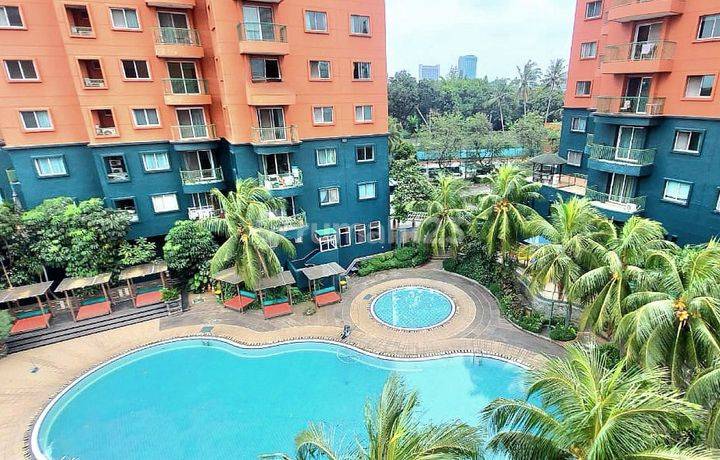 Apartement Greenview Dijual Cepat, Murah Dan Siap Huni