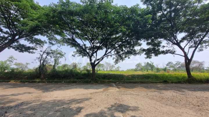 Dijual Segera Tanah di Cluster Holly Grand Sentul Shgb Dijual Segera Tanah di Cluster Holly Grand Sentul Shgb