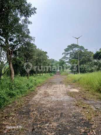 Tanah Luas 131633 Legok Dekat Gading Serpong bisa Komersial Tanah Luas 131633 Legok Dekat Gading Serpong bisa Komersial