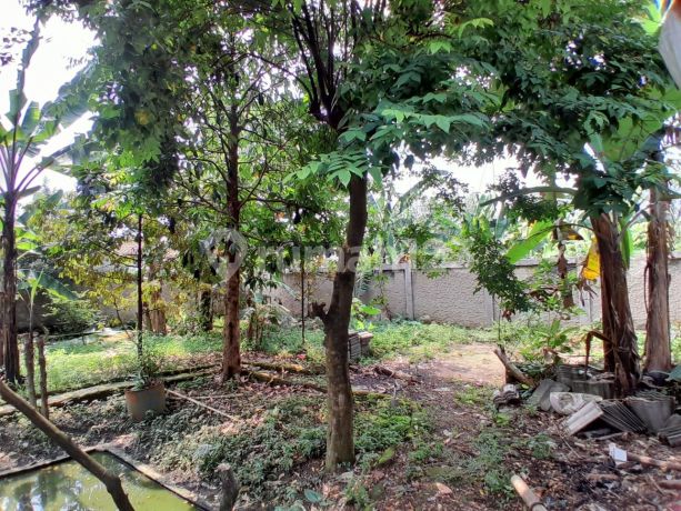 Dijual Tanah SHM 1001m di Ciseeng Parung Dekat Telaga Kahuripan Dijual Tanah SHM 1001m di Ciseeng Parung Dekat Telaga Kahuripan