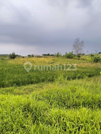 Tanah Kawasan Industri Cocok Untuk Gudang Pabrik Kawarang