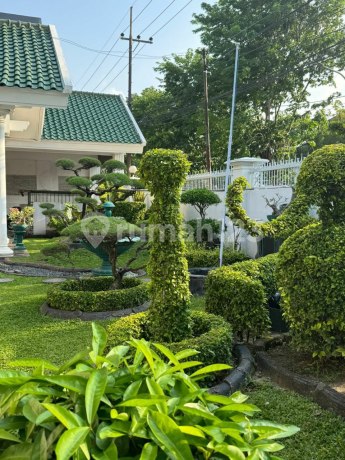 Jual Rumah Klasik Mewah Murah Siap Huni Kris Kencana Ciputra Mayjend Sungkono Sby Barat