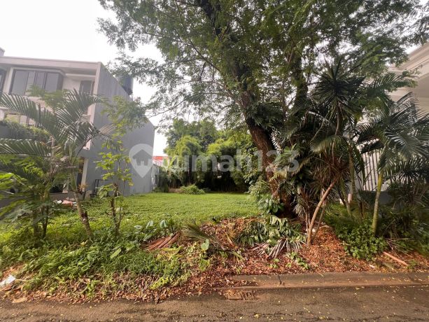 Dijual Kavling Badan Hadap Selatan di Sutera Lavender Alam Sutera