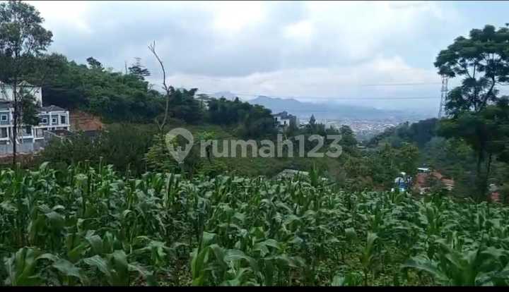 For Sale, Soreang Plantation Land, Strategic Location For Sale, Soreang Plantation Land, Strategic Location