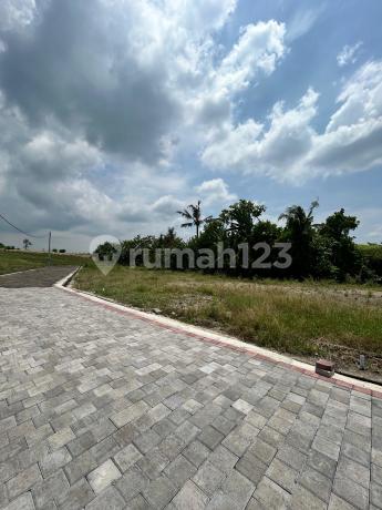 Tanah Premium Di Kawasan Kedungu Cocok Untuk Villa Tanah Premium Di Kawasan Kedungu Cocok Untuk Villa