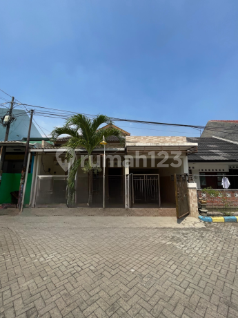 Rumah SHM Siap Huni Jalan 4 Mobil Di Permata Megah Asri Sidoarjo Rumah SHM Siap Huni Jalan 4 Mobil Di Permata Megah Asri Sidoarjo
