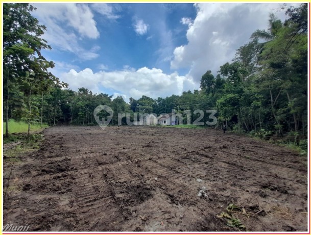 200 Juta, Dekat Padma Residence Kasihan Bantul