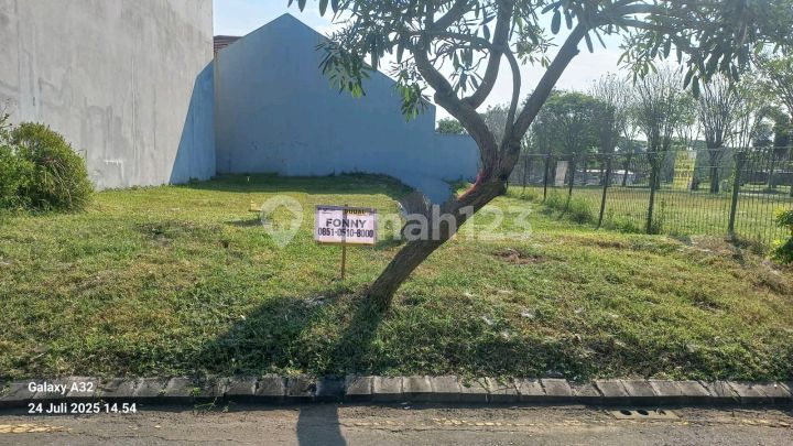 Special !!! Tanah Kavling Bukit Palma Citraland, Surabaya Barat, Jawa Timur Tanah di Cluster Bukit Palma Perumahan Citraland, Perumahan Citraland Cluster Bukit Palma, Jl. Made, Babat Jerawat, Pakal, Kota Surabaya, Jawa Timur, Indonesia, 60197, Citraland