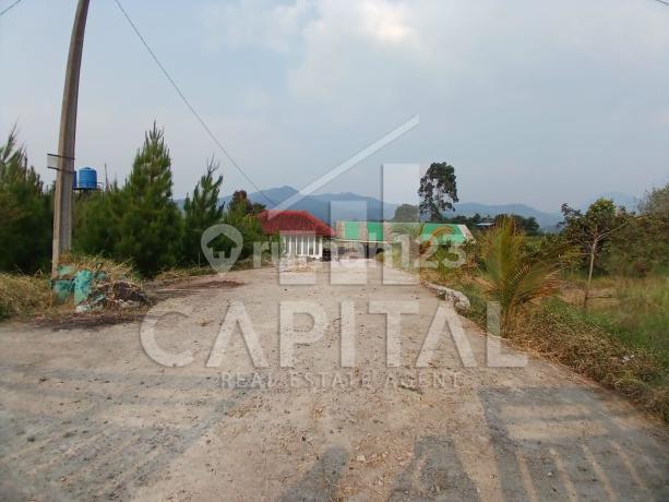 TURUN HARGA! Tanah Kebun di Ciwidey Cocok Untuk Perkebunan atau Dibangun Villa TURUN HARGA! Tanah Kebun di Ciwidey Cocok Untuk Perkebunan atau Dibangun Villa