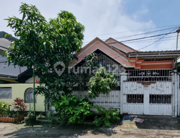 Rumah Wisma Tengger Pipa Surabaya Rumah Wisma Tengger Pipa Surabaya