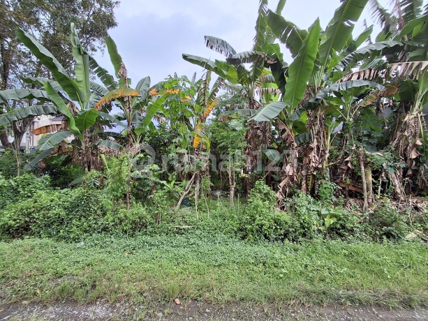 Dijual Tanah Hook di The Metro Graha Tunggorono Jombang