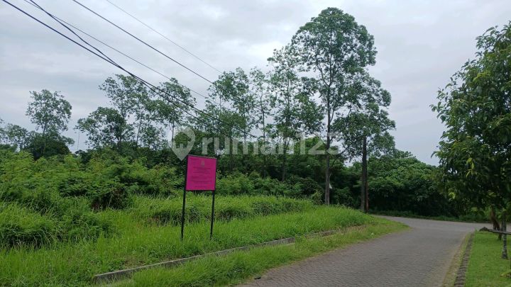 Tanah Kosong Di Perumahan Cikupa Asri Pasir Gadung Tangerang Tanah Kosong Di Perumahan Cikupa Asri Pasir Gadung Tangerang