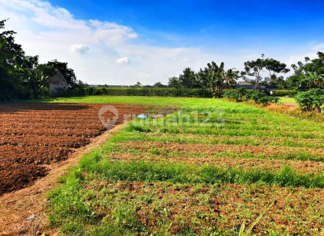 Kavling di Babelan, Bekasi, Pinggir Jalan, SHM, Bebas Banjir Kavling di Babelan, Bekasi, Pinggir Jalan, SHM, Bebas Banjir