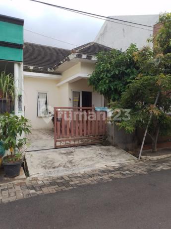 Rumah Bagus Tembalang Pesona Asri Mulawarman