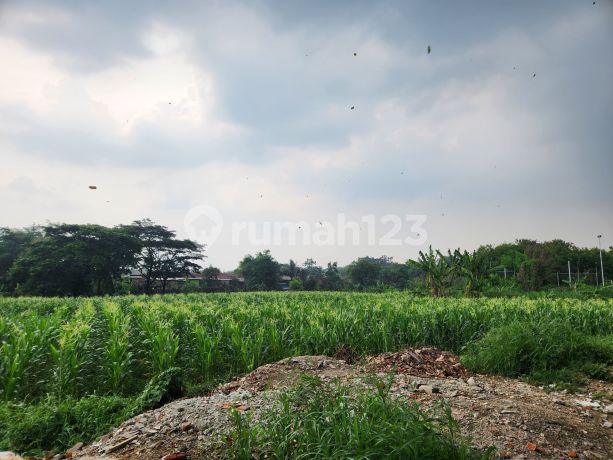 Tanah di Kp Cilubang Pakuan Regency Murah Meriah Cocok Buat Cluster Perubahan