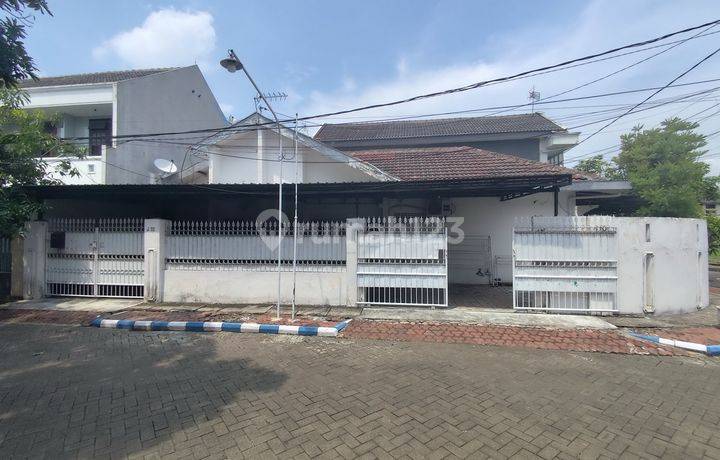 Rumah Dijual Pusat Kota Sidoarjo Pucang Indah, Jenggolo, Butuh Renov