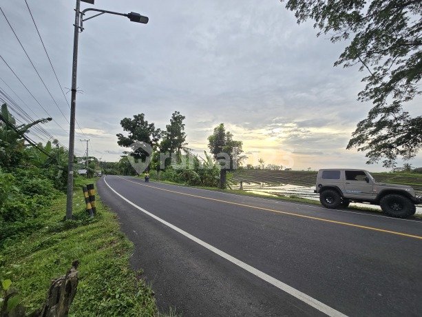 Dijua ******** View ******** Jalan Propinsi di Bali