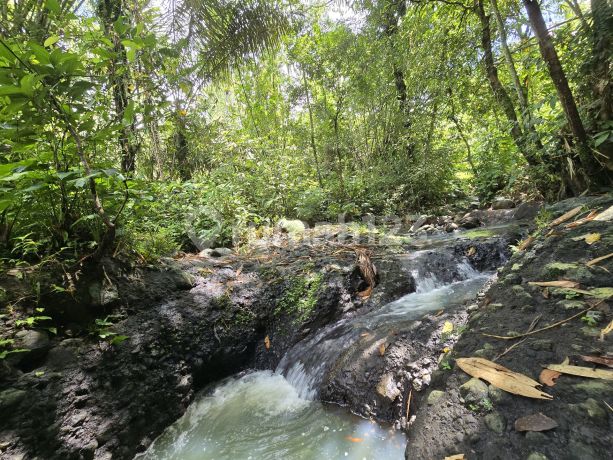 For Sale Cheap Land with River in Tabanan Bali