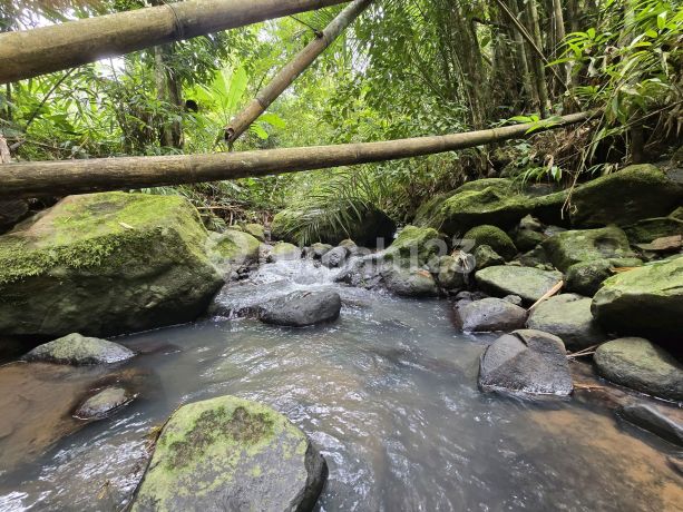 Dijual Murah Tanah Kebun Los Sungai Di Tababan Bali